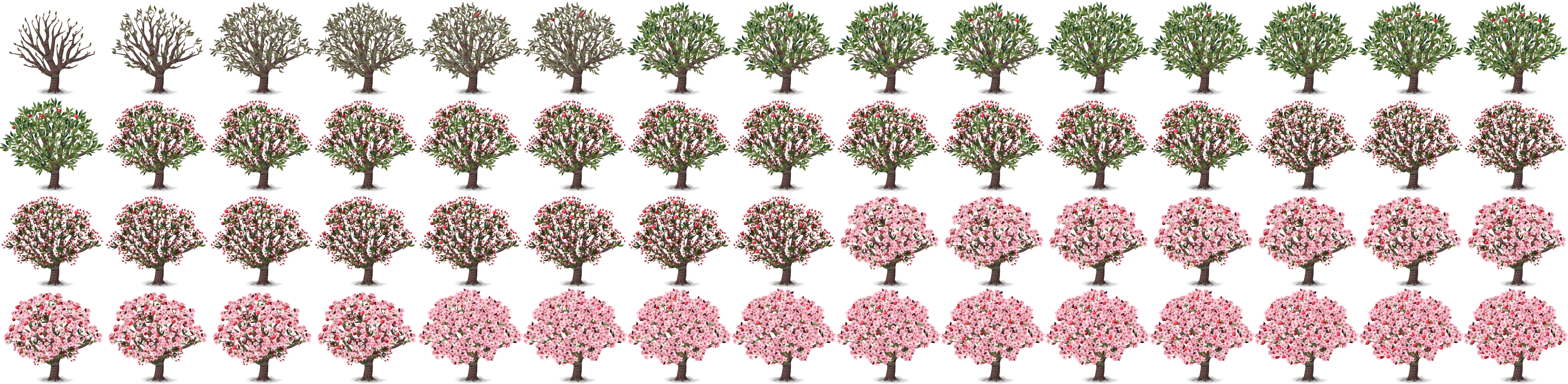 Maturity 10 - Tree Sprite Sheet Png Clipart (4065x996), Png Download