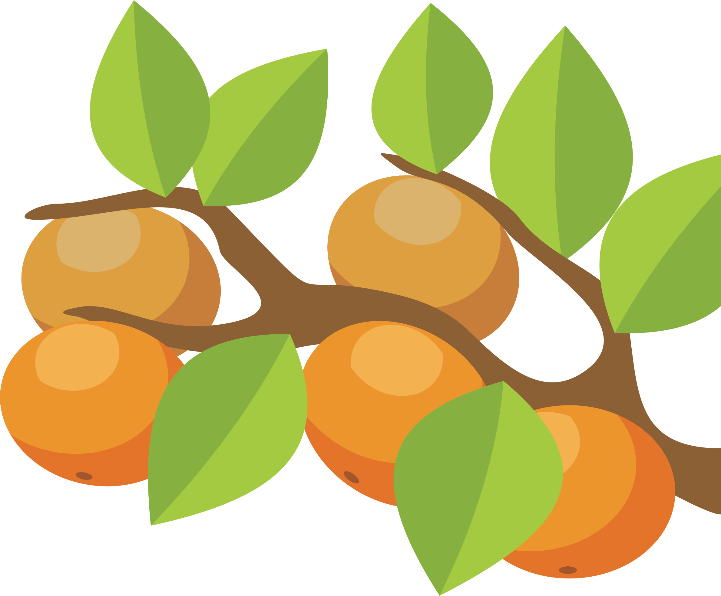 Orange Fruit Clipart Orange Tree - Clipart Orange Tree - Png Download (2381x1970), Png Download