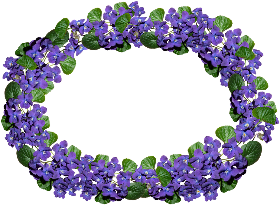 Flowers, Violets, Arrangement, Frame, Border, Perfume - Delphinium Clipart (948x720), Png Download