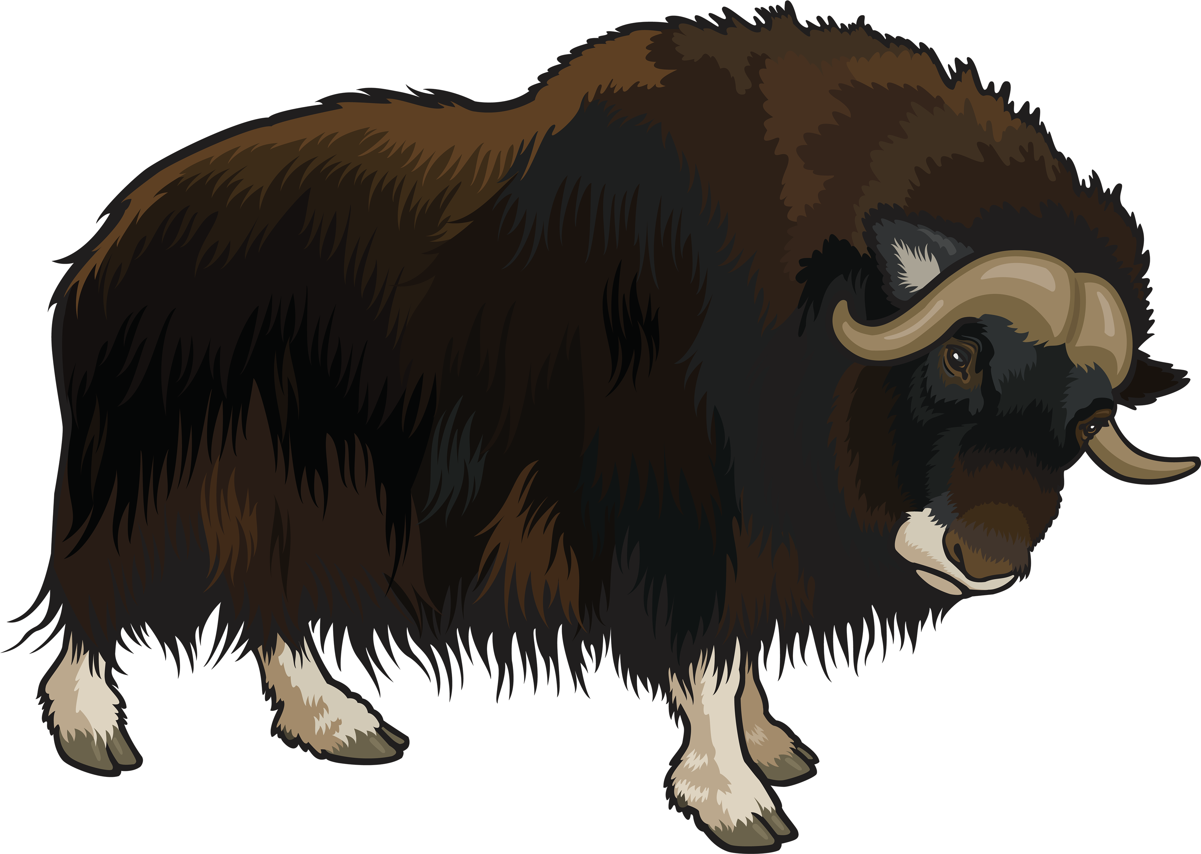 Buffalo Png Clipart - Buffalo Clipart Png Transparent Png (4000x2865), Png Download
