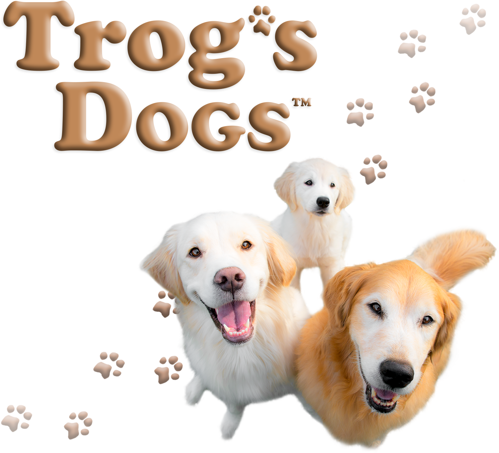 Labrador Retriever Clipart (1660x1660), Png Download