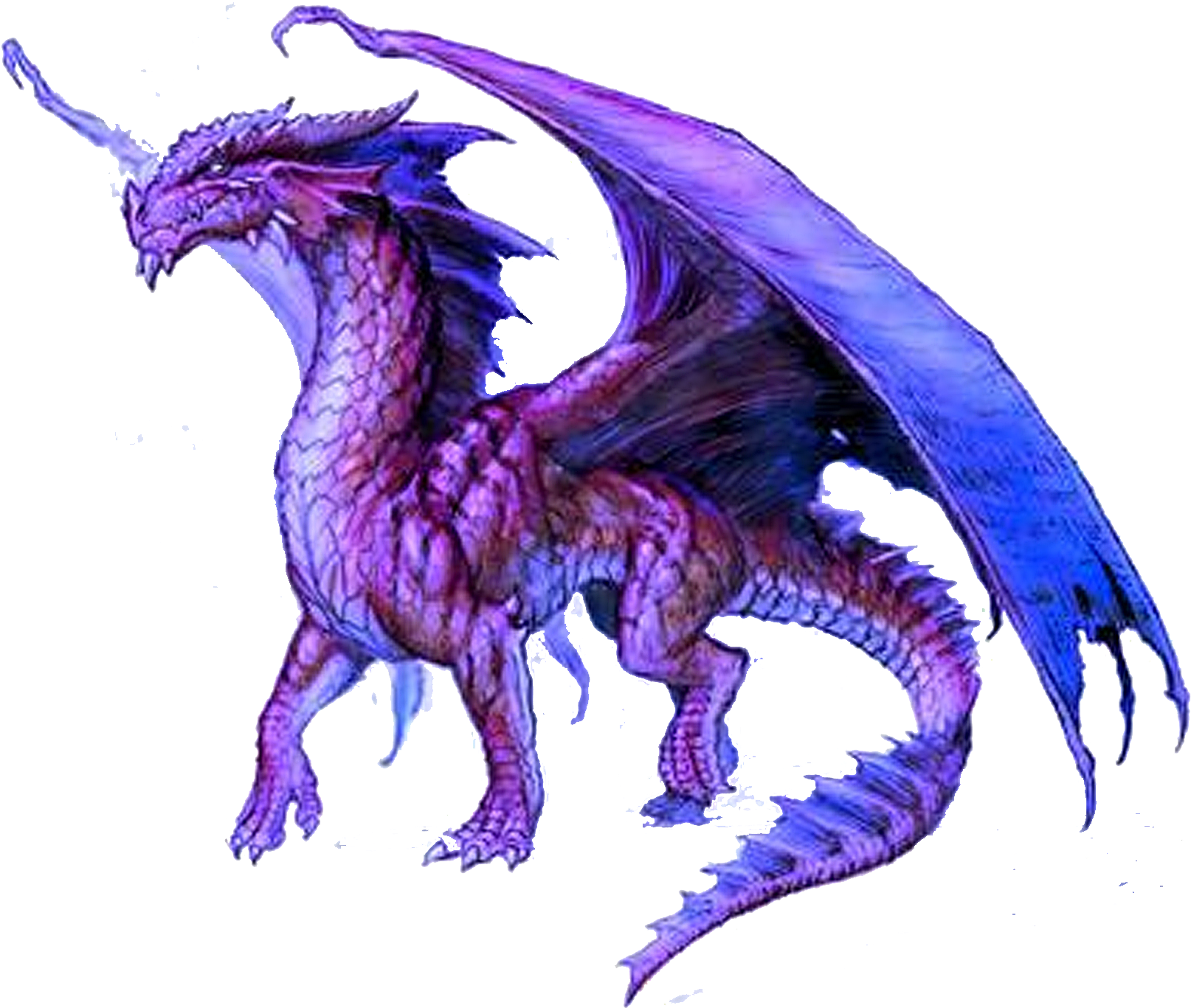 Dragon Png - Purple Dragons Clipart (1667x1417), Png Download