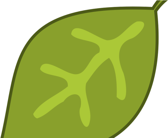 Leaves Clipart Jungle - Sign - Png Download (640x480), Png Download