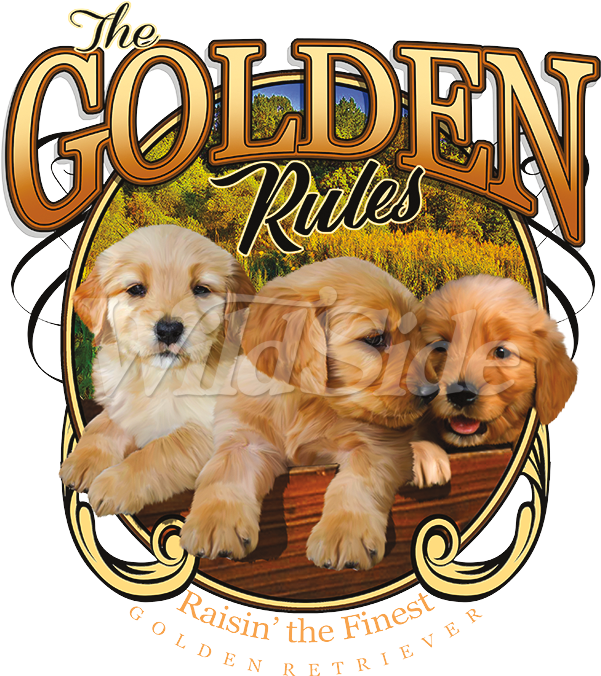 Dog Catches Something Clipart (675x675), Png Download