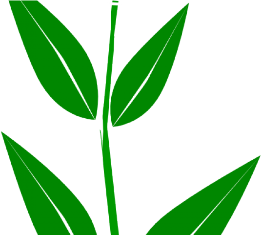Clip Art - Png Download (640x480), Png Download