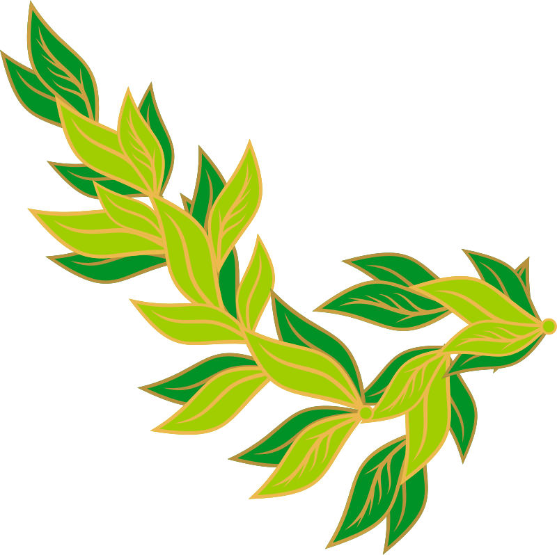 Medium Image Bayleaf Clipart Png Download Large Size Png Image