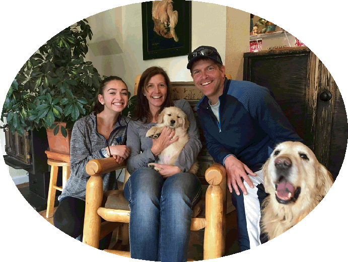 Sound Golden Retrievers" - Golden Retriever Clipart (691x520), Png Download