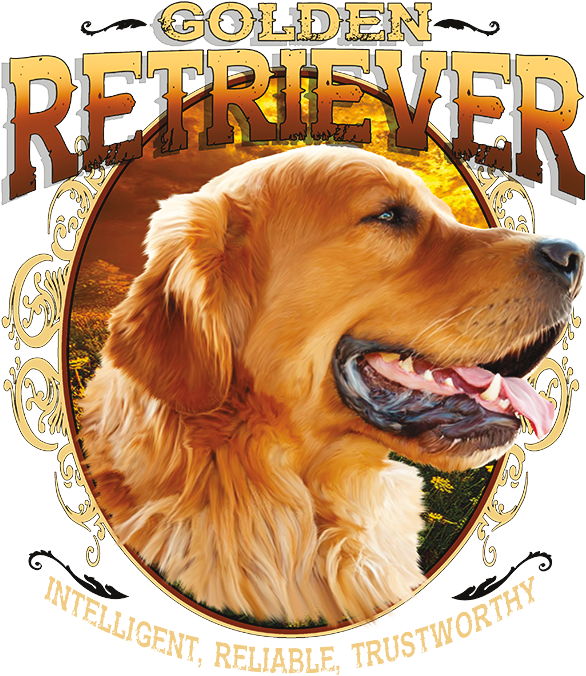 Dog Clipart (675x675), Png Download