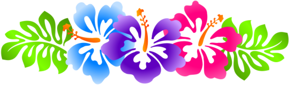 Luau Clip Art Borders Free Hibiscus Line - Hawaiian Flower Clipart Border - Png Download (640x480), Png Download