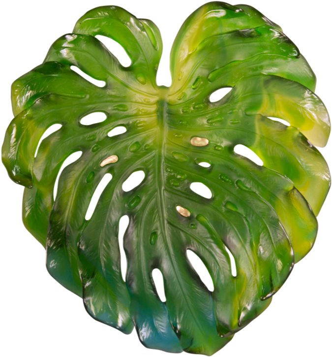 Tropical Green Png - Monstera Png Clipart (750x769), Png Download