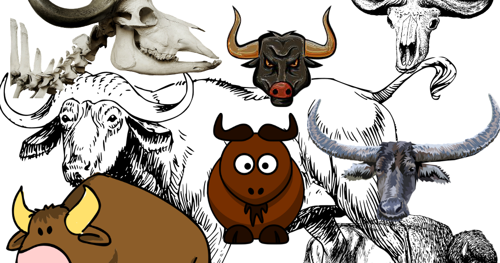 The Story Of Buffalo Buffalo Buffalo Buffalo Buffalo - Water Buffalo Clipart (1024x538), Png Download