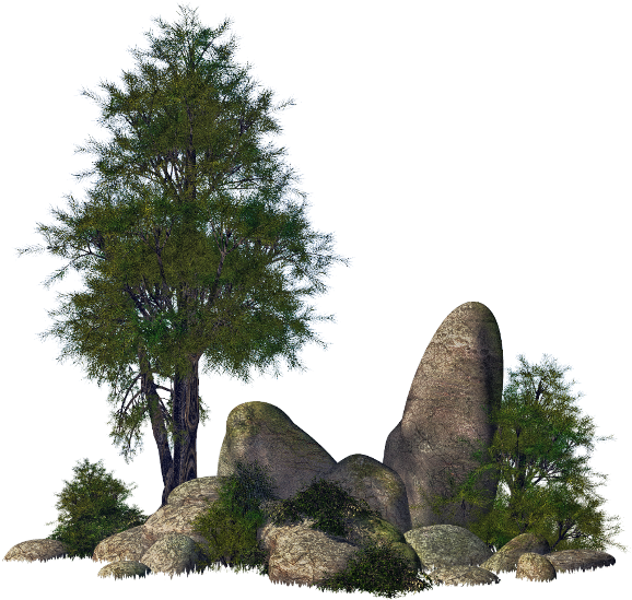 Ftestickers Landscape Trees Rocks Stones - Mexican Pinyon Clipart (578x549), Png Download