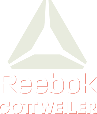 Reebok Aw17 Logoandrewgrune2017 12 23t01 - Reebok Crossfit Clipart (1920x1080), Png Download