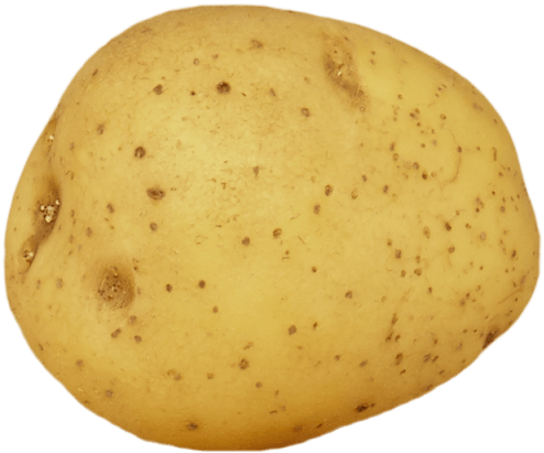 24 Ounce - Vegetable Potato Clipart (640x640), Png Download