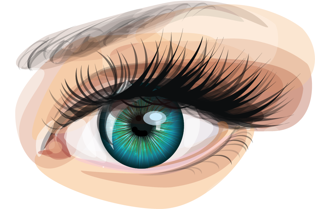 Human Eye Euclidean Vector Clip Art - 冷酷 的 眼睛 - Png Download (1250x1250), Png Download