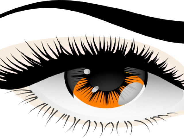 Brown Eyes Clipart Human Eye - Transparent Background Png Lashes (640x480), Png Download