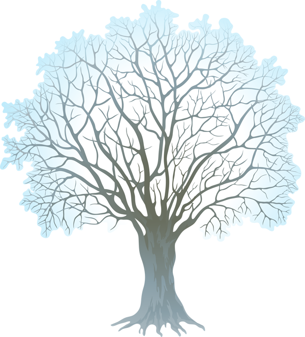 Stock Vector Winter Tree 330kb - Winter Tree Clipart Png Transparent Png (600x664), Png Download