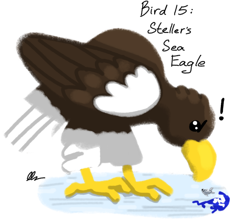 Stellers Sea Eagle Clipart Png - Cartoon Transparent Png (1000x1000), Png Download