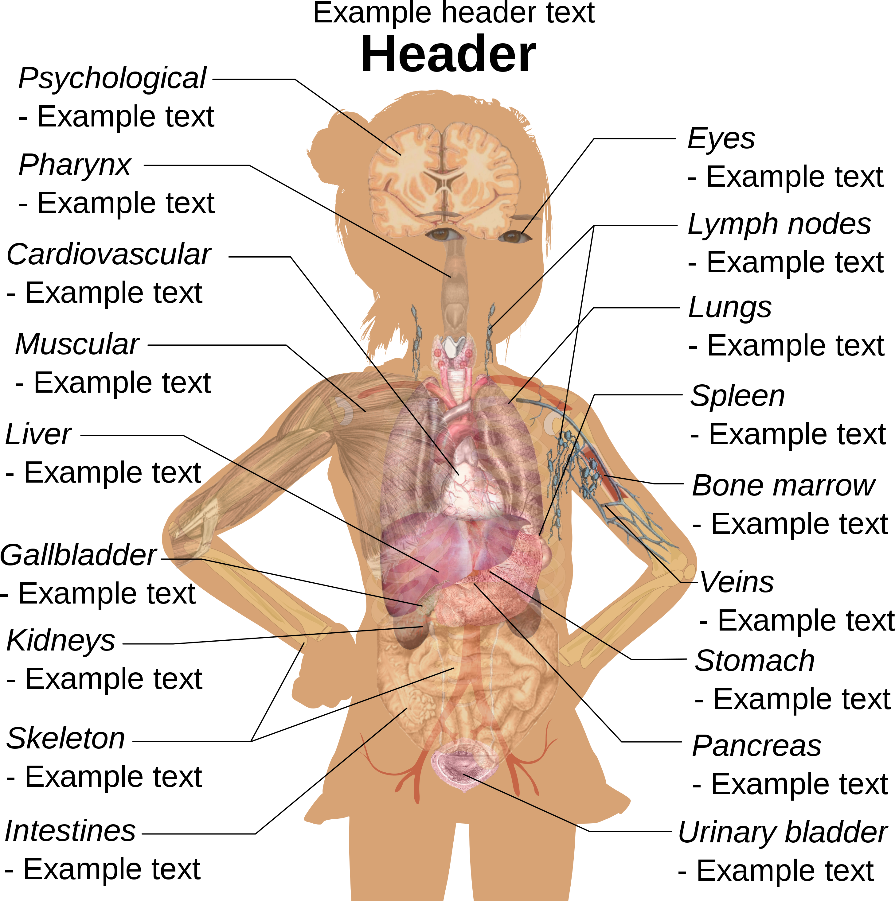Girl Diagram Template - Human Body Parts Clipart (2972x2986), Png Download