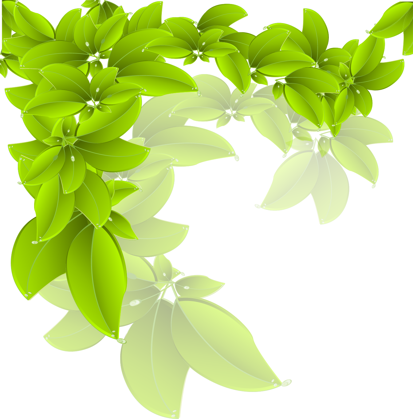 Branch Green Leaf - Leaves Vector Free Download Clipart - Large Size Png Im...