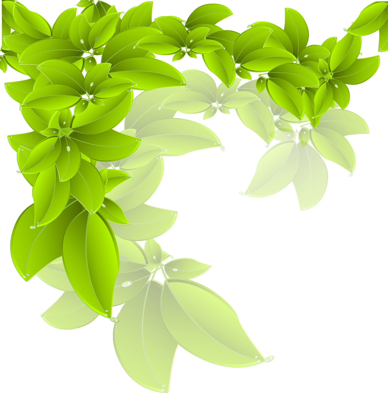 Branch Green Leaf - Leaves Vector Free Download Clipart (1344x1363), Png Download