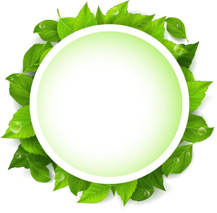 Plate Clipart Banana Leaf - Circle - Png Download (723x698), Png Download