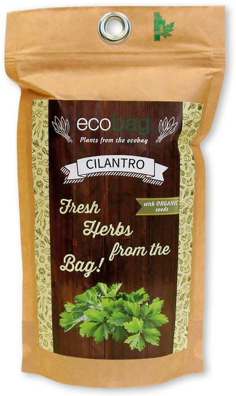 Cilantro Png Clipart (800x800), Png Download