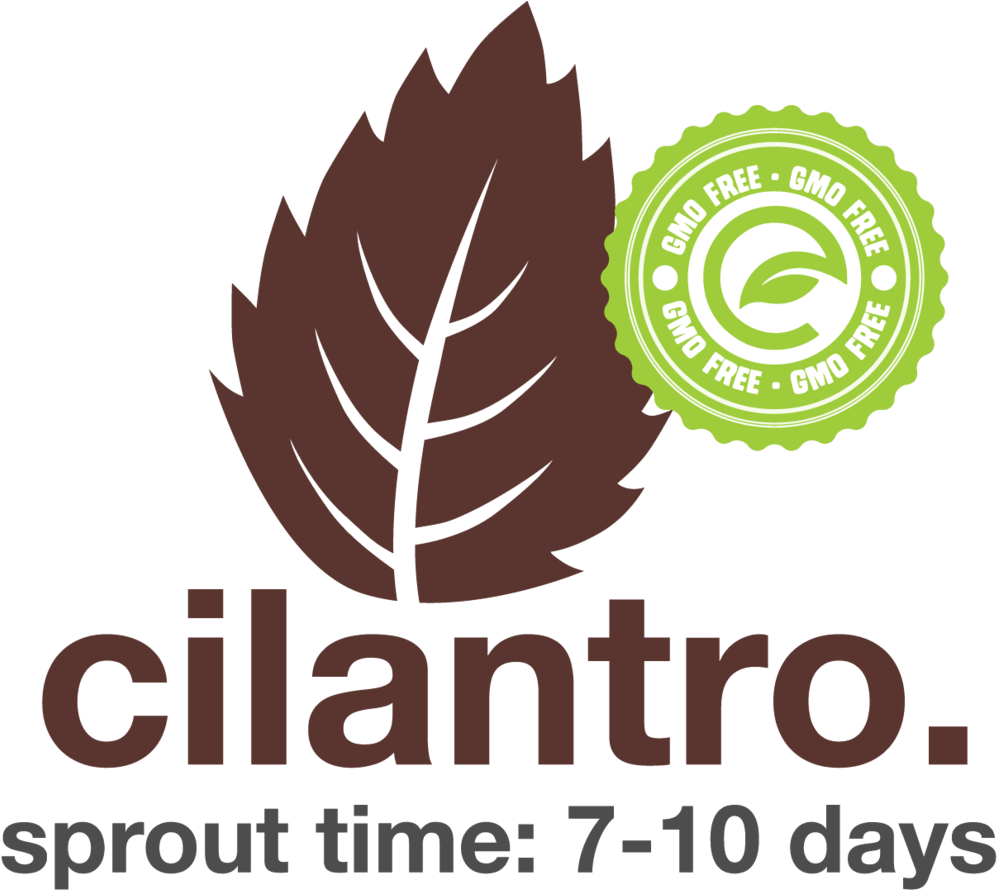 Cilantro - Esv Bible Clipart (1000x917), Png Download
