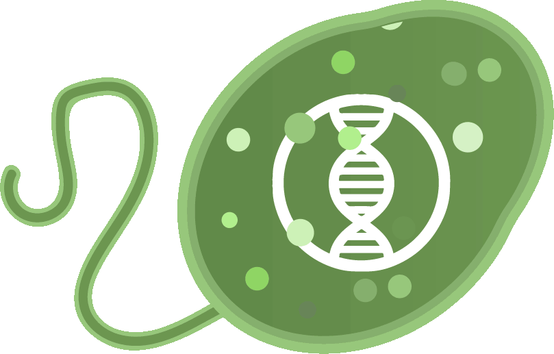 Http - //2018 - Igem - Org/wiki/images/6/60/t Marburg - Bissendorfer Panther Clipart (809x517), Png Download