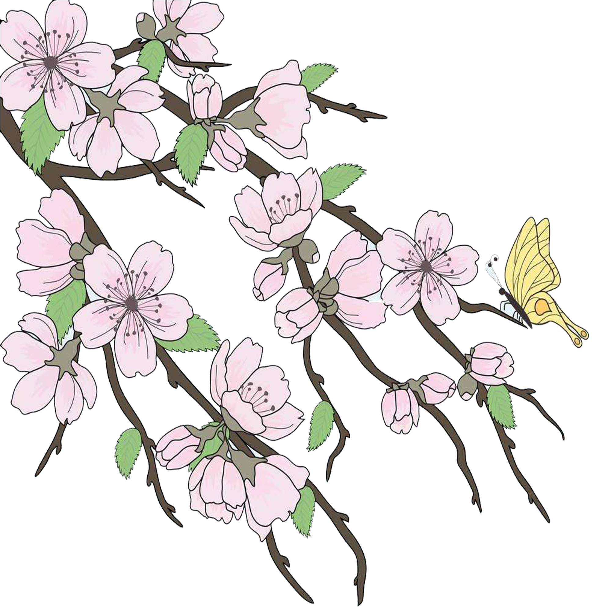 2362 X 2362 9 - Beautiful Drawings Branch Clipart (2362x2362), Png Download