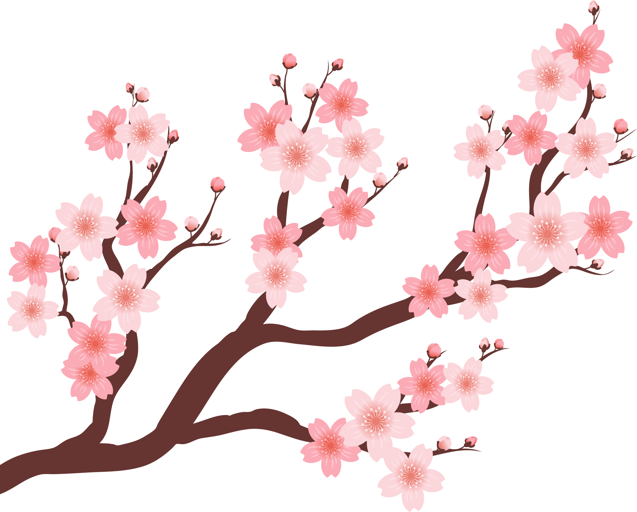 Cherry Beautiful Tree - 三 月 你 好 Clipart (2120x1706), Png Download