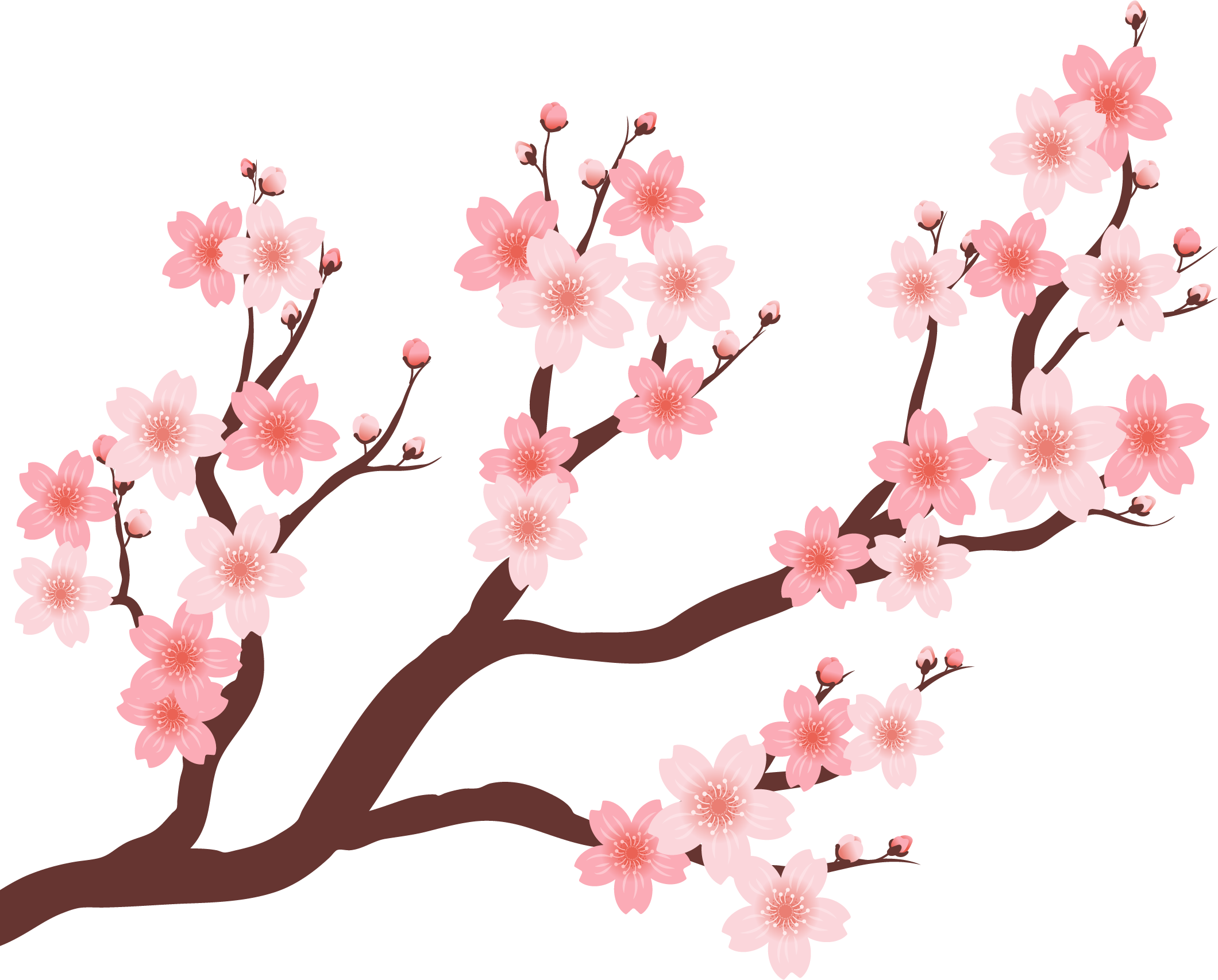 Cherry Beautiful Tree 三月你好clipart Large Size Png Image Pikpng Cherry Beautiful Tree 三月你好clipart Large Size Png Image Pikpng