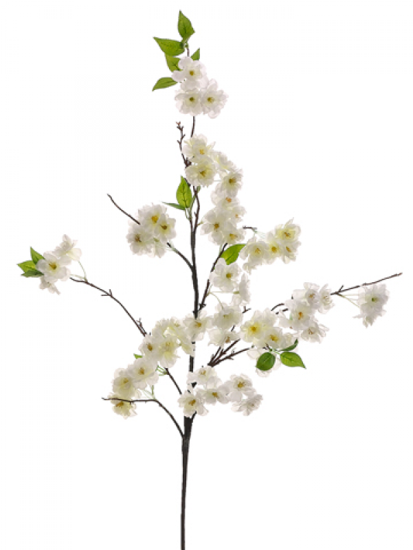 50" Cherry Blossom Spray White - Cherry Blossom Clipart (800x800), Png Download