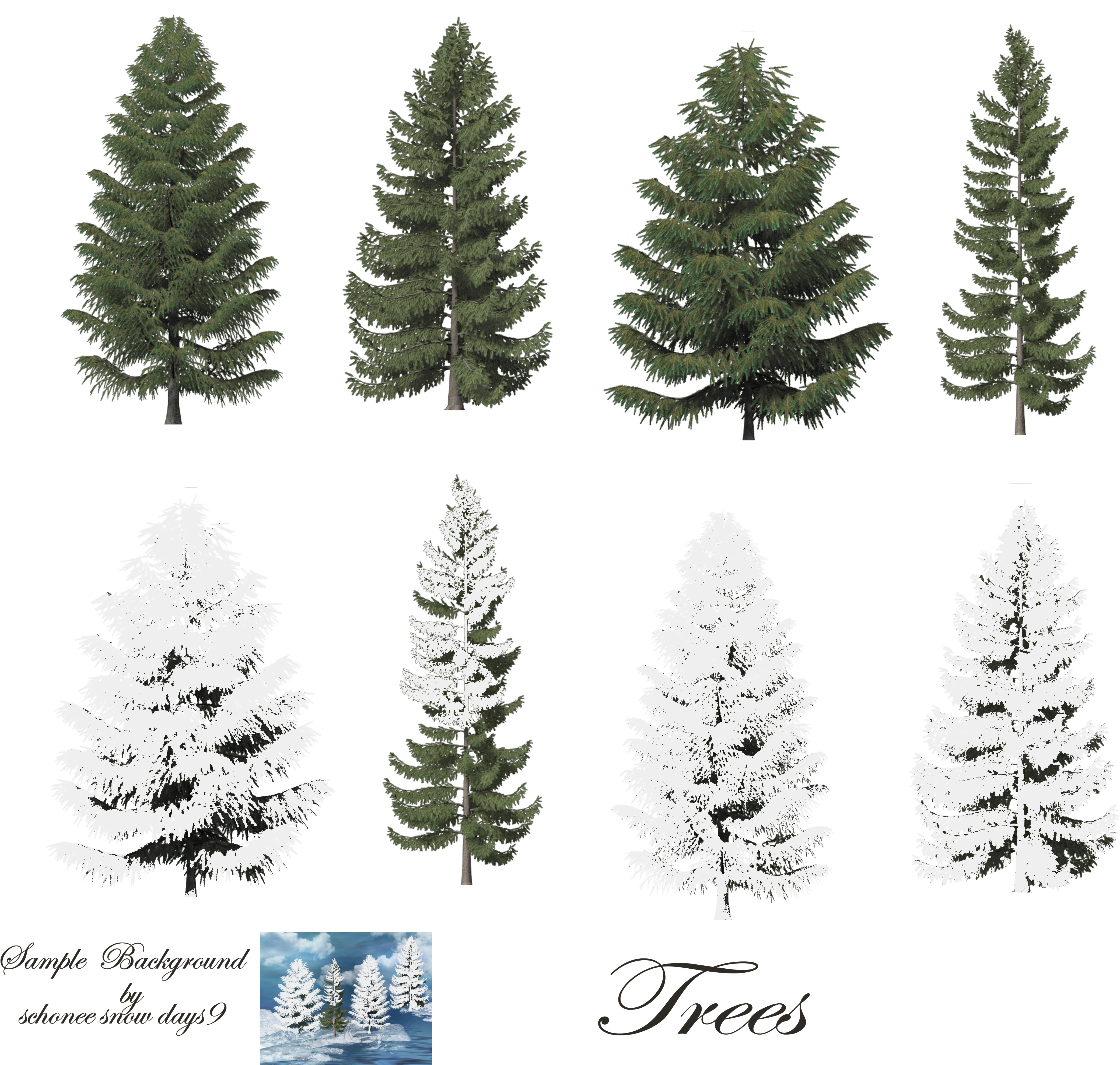 Click Here For The Tree Images - Snow Tree Transparent Background Clipart (4496x4040), Png Download