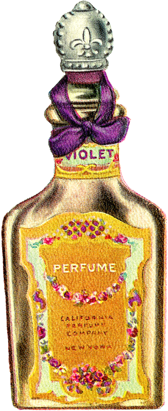 Antique Images Vintage Avon Artwork Digital Beauty Clipart (571x1393), Png Download