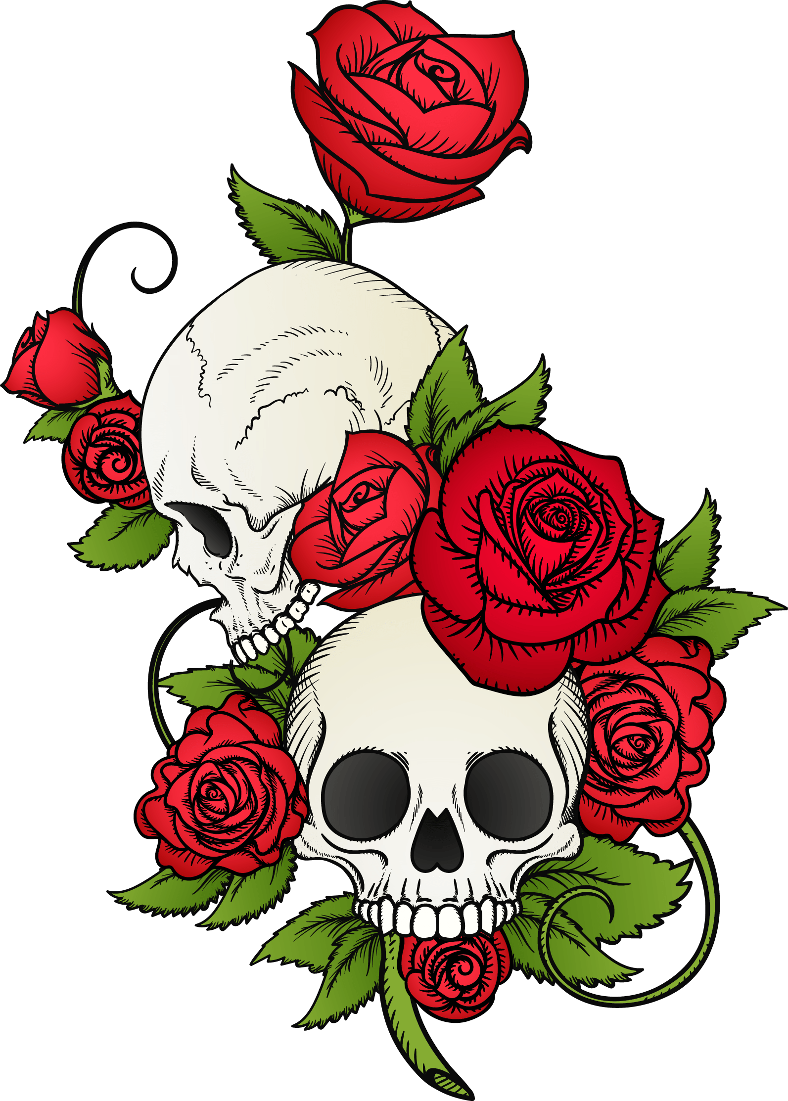 Skull Tattoo Design White Background PNG File Download High Resolution -  Etsy Canada