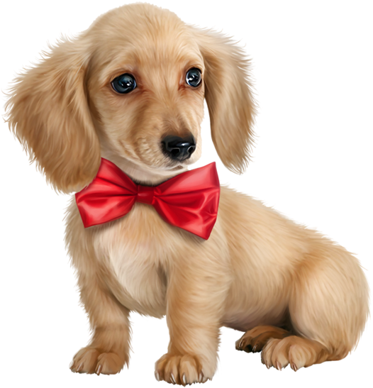 Cute Puppy Dogs - Cute Golden Compass Png Clipart (559x800), Png Download