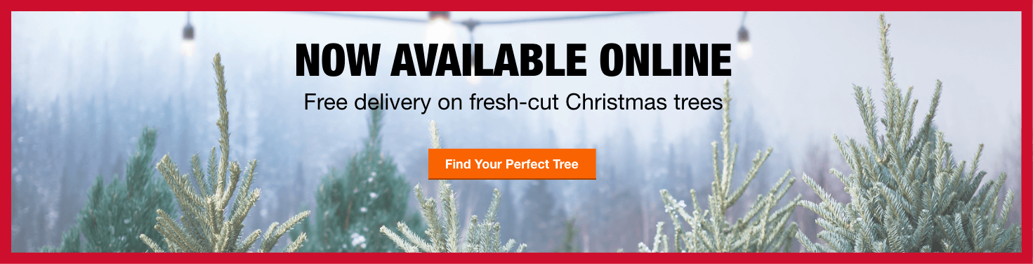 Fresh-cut Christmas Trees - Colorado Spruce Clipart (1471x376), Png Download