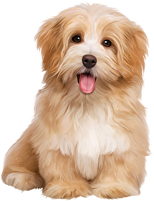 Cute Puppy Love - Dogs Sitting Clipart (536x702), Png Download