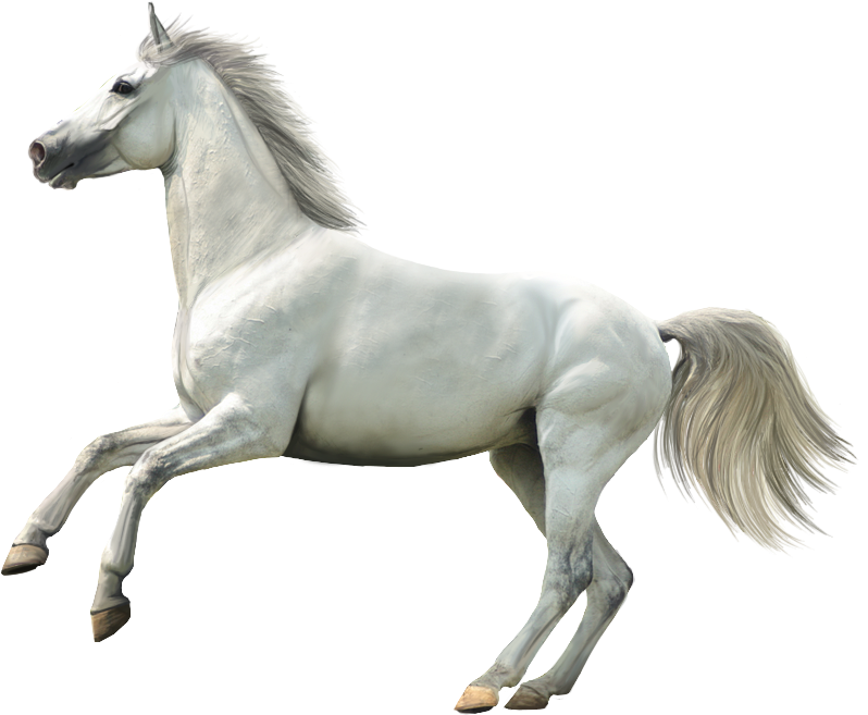 Wallpapers Laptop, Ax/84 Clipart (798x657), Png Download