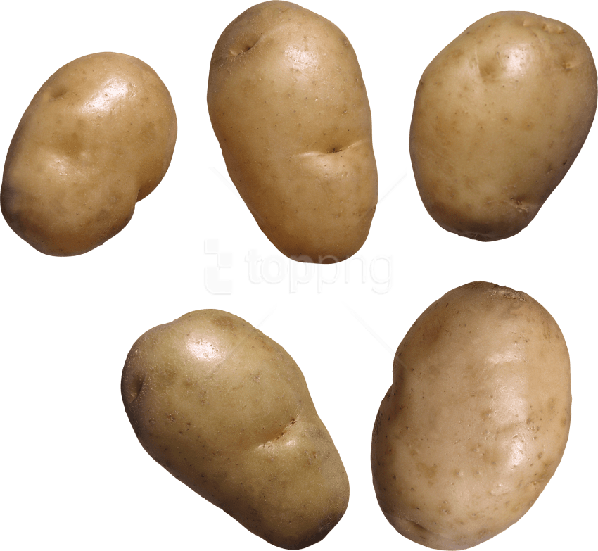Free Png Download Potato Png Images Background Png - Potato White Background Clipart (850x783), Png Download