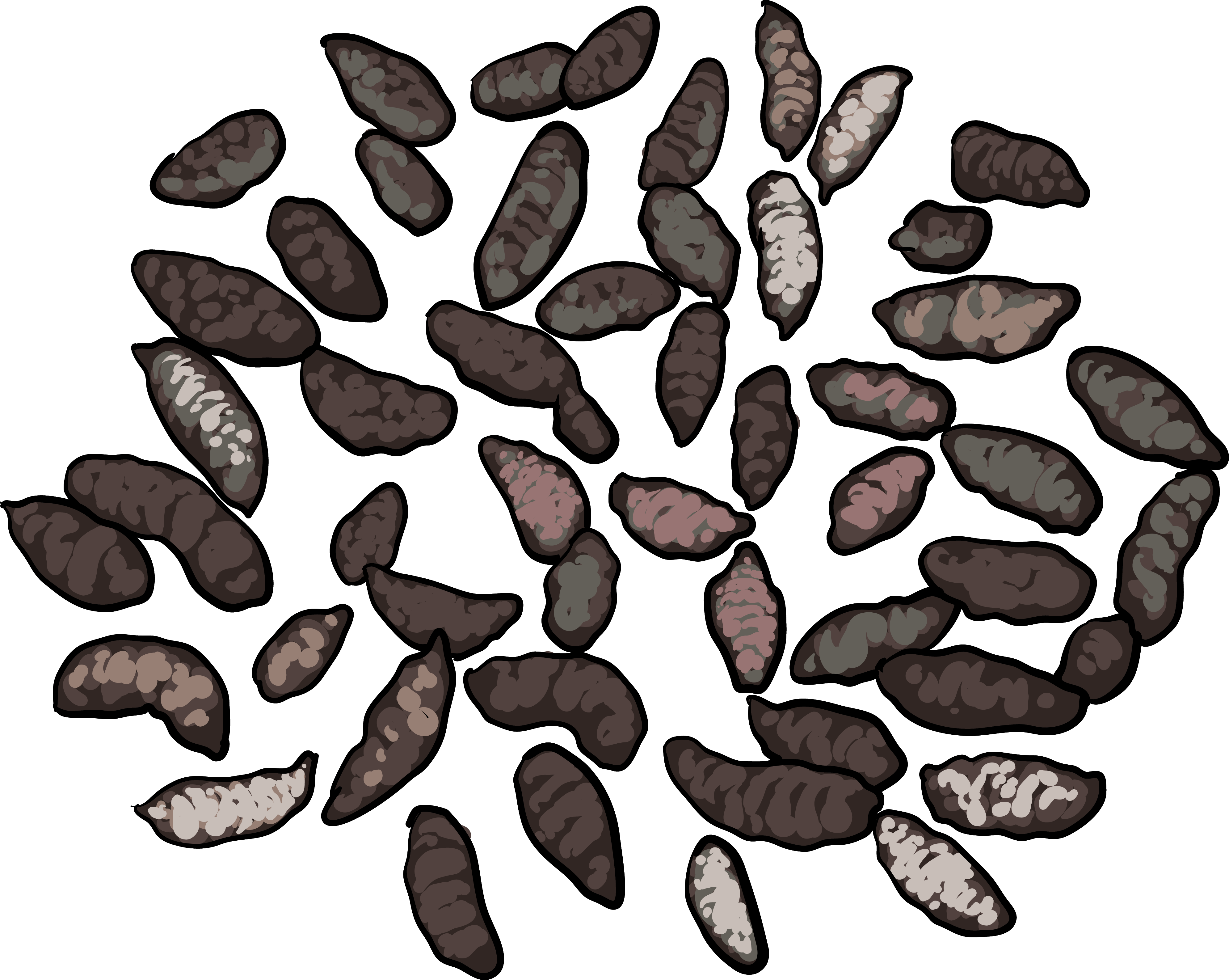 Roof Rats Droppings - Gopher Droppings Clipart (3979x3172), Png Download