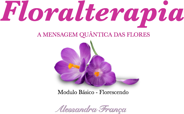 Sobre - Snow Crocus Clipart (800x600), Png Download