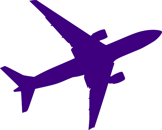 Airplane Silhouette Purple Plane Jet Flight Icon - Black And White Airplane Clipart (640x515), Png Download
