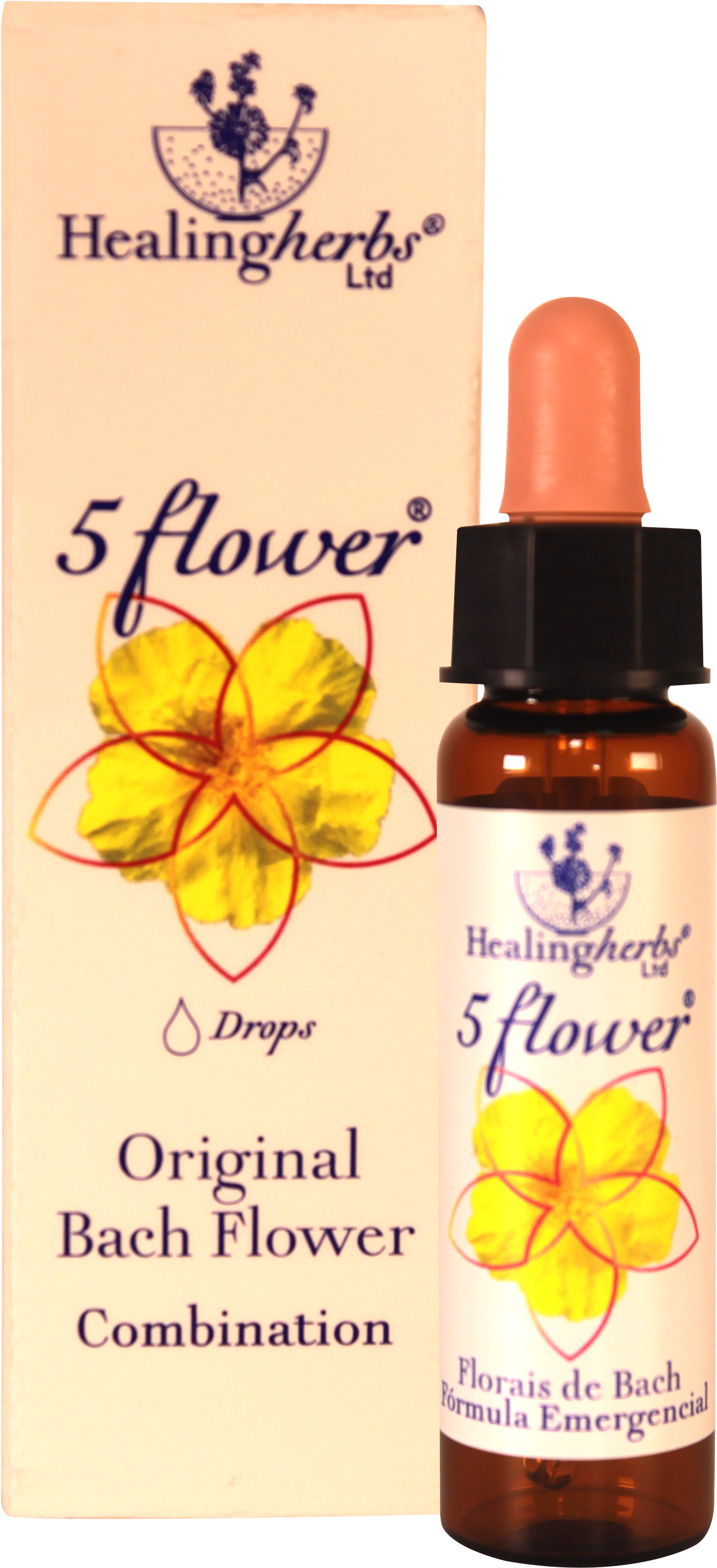 Five Flower Clipart (2848x4272), Png Download