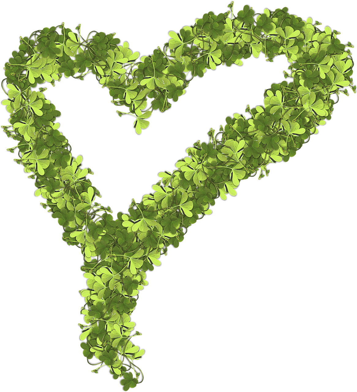 Download - Heart Clipart (1166x1280), Png Download