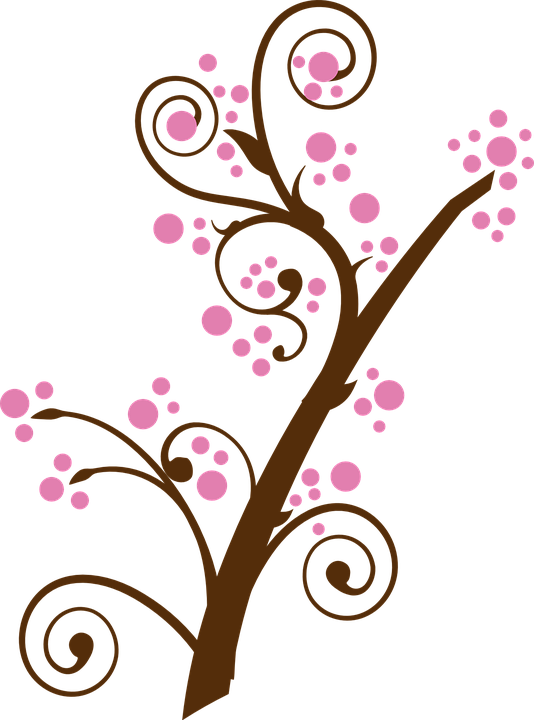 Floral, Galho, Filiais, Árvore, Rosa, Flor De Cerejeira - Cherry Blossom Tree Clipart - Png Download (534x720), Png Download