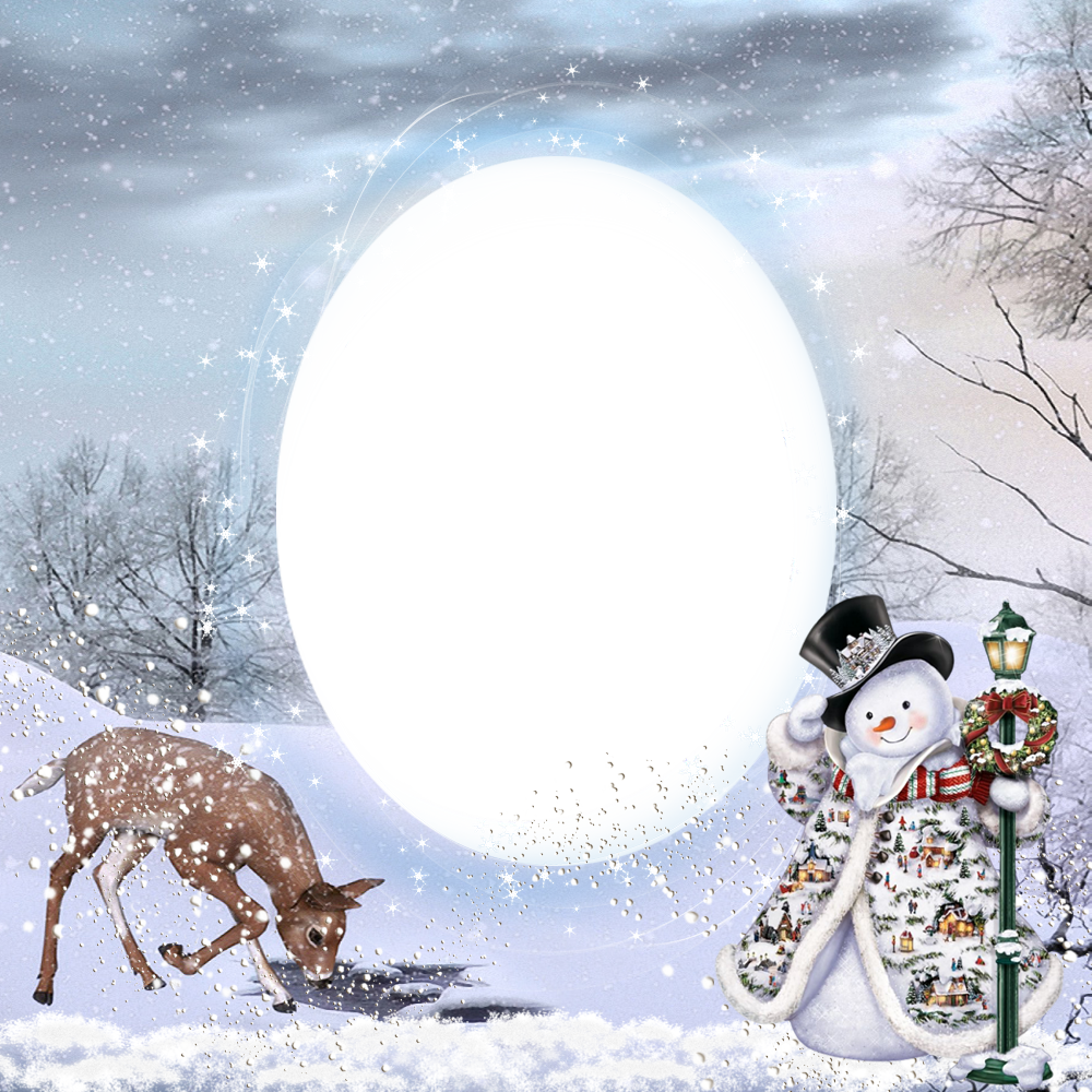 Transparent Christmas Winter Png Photo Frame - Winter Borders And Frames Clipart (1000x1000), Png Download
