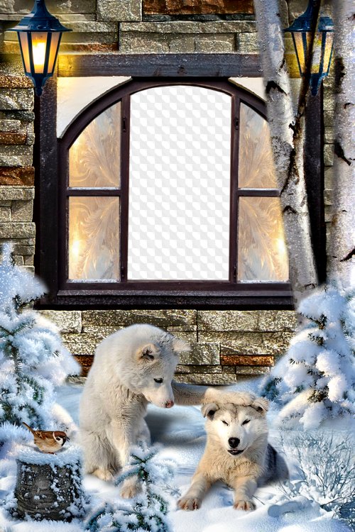 Winter Photo Frame Open Window - Transparent Winter Window Png Clipart (500x750), Png Download