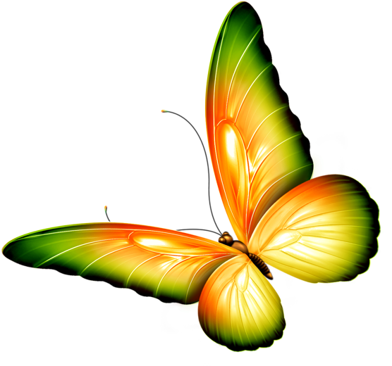 Butterfly Clipart With Transparent Background - Png Download (600x555), Png Download